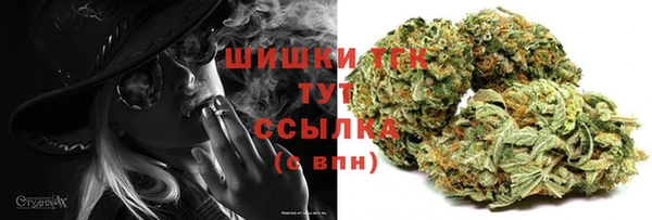 бошки Инта