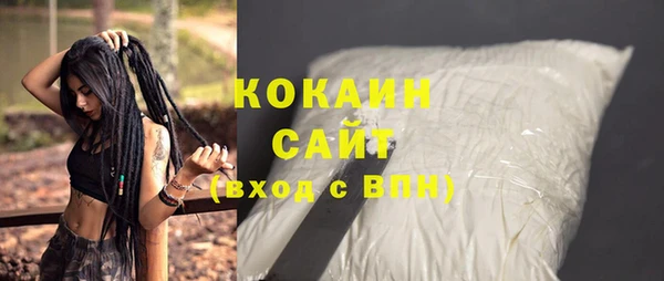 бошки Инта