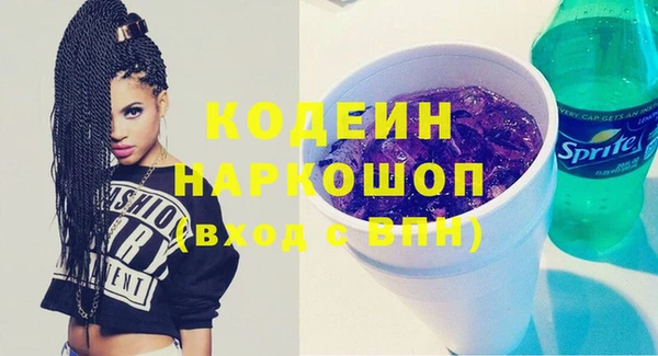 бошки Инта
