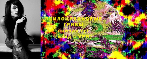 бошки Инта