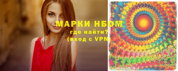 бошки Инта