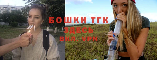 бошки Инта